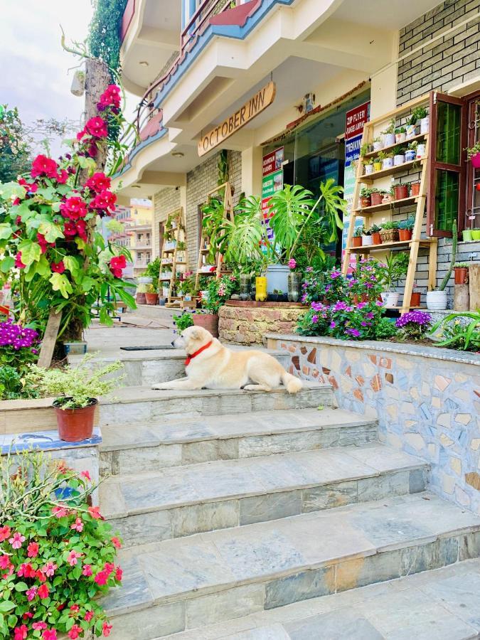 Hotel October Inn โพคารา ภายนอก รูปภาพ
